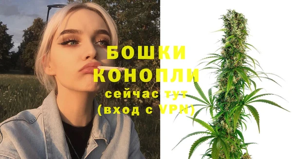 круглые Карпинск