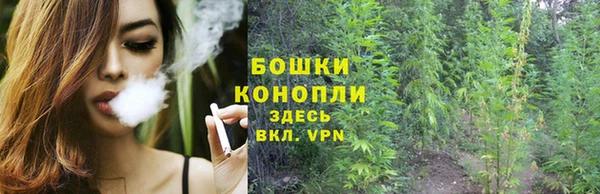 круглые Карпинск