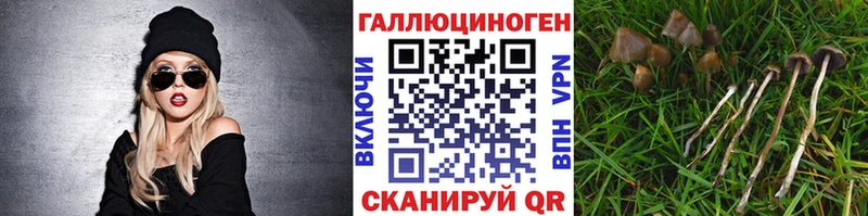 Купить закладки Княгинино Галлюциногенные грибы мицелий
